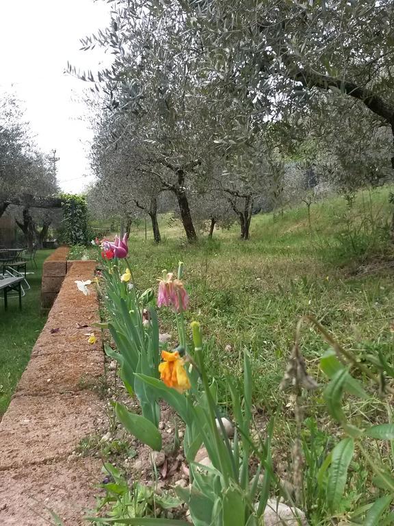 Agriturismo Camparella Pastrengo Exteriér fotografie