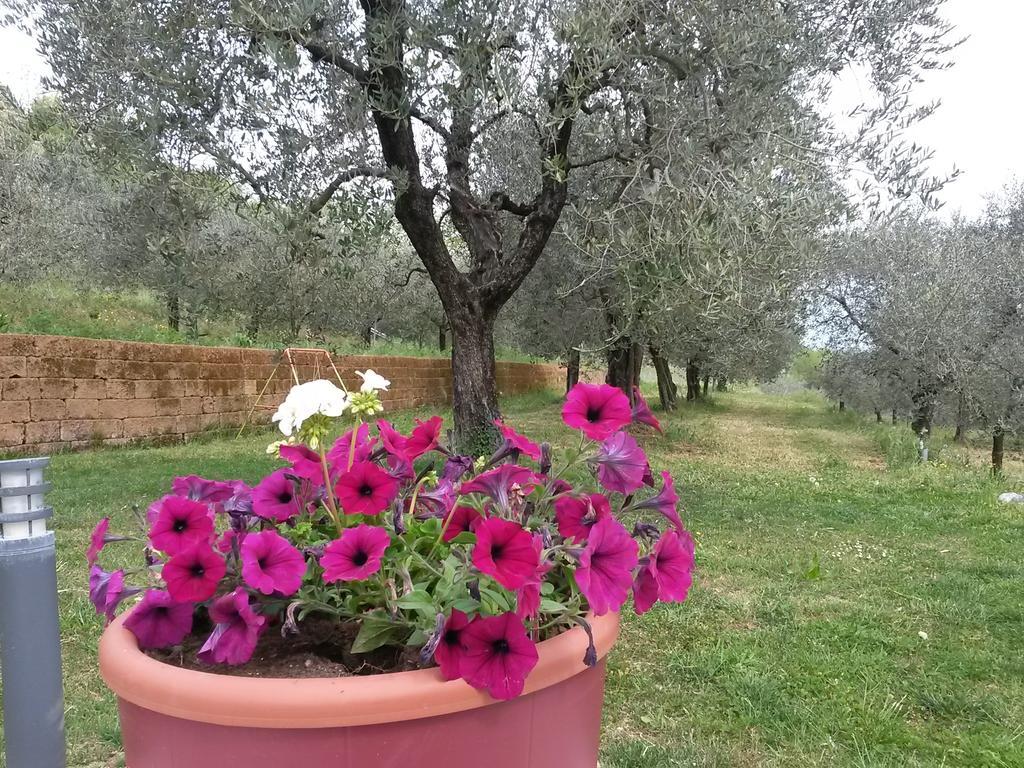 Agriturismo Camparella Pastrengo Exteriér fotografie